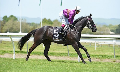 Showy Lincoln’s Kruz is a big improver for the opener at Trentham on Saturday. PHOTO: Peter Rubery/Race Images.