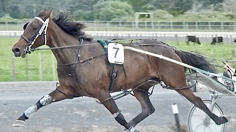 The Empress in full flight, leading a strong workout field at Pukekohe last Saturday.