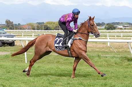 Ajay Lincoln finally gets a middle distance to show what he’s got. PHOTO: Royden Williams.