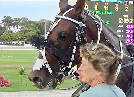 Debbie Green attends to Copy That after his cruisy win tonight.