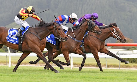 Platinum Road finishes fast to down Nudge Bar and Den Bosch at Trentham today. PHOTO: Peter Rubery/Race Images.