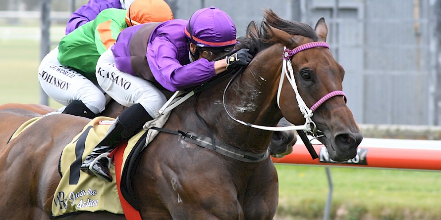 Kozzi Asano sits low over Lincoln Raider as he powers to the front at Trentham today. PHOTO: Peter Rubery/Race Images.