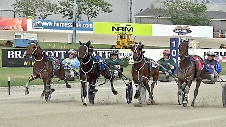 Lined up across the track near the finish of last week’s workout it’s, from the inside, Platinum Stride, Bondi Shake, Captain Nemo and Vincent Van Gone.