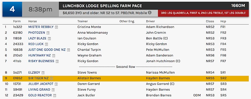 Sir Tiger races at 11.38pm NZ time at Albion Park on Friday night.