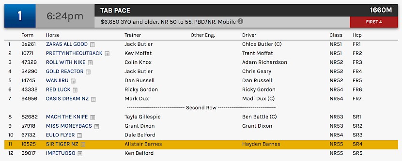 Sir Tiger races at 9.24pm NZ time at Albion Park on Friday night.