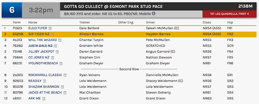Sir Tiger races at 6.22pm NZ time at Albion Park on Friday.