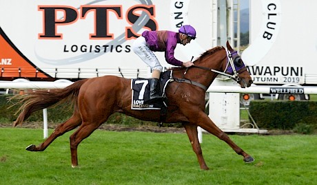 Lincoln Hills … should get a perfect trip from the inside gate. PHOTO: Peter Rubery/Race Images.