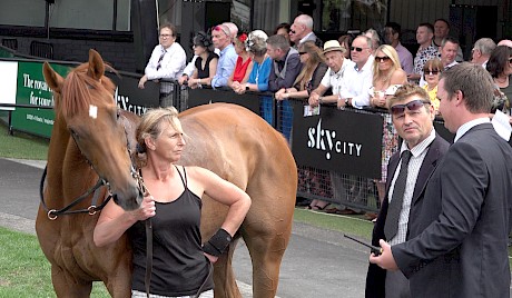 Steward Brady Jones, right, in conflab with Roger That’s trainer Antony Fuller and his strapper.