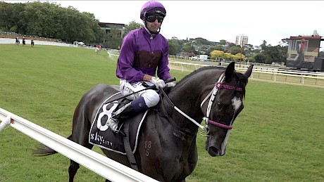 Leith Innes on his way back to the barriers on Platinum Invador after the false start was called.