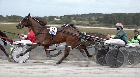 Spicey shows speed to get round the field in her heat before tiring in the stretch.