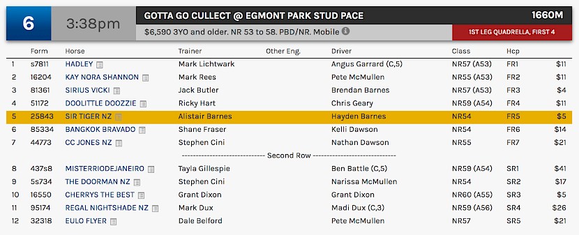 Sir Tiger runs at 6.38pm NZ time at Albion Park on Thursday.