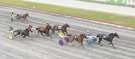 Hayden Barnes, widest, opens the throttle a little on Northview Hustler close to home in his trial at Albion Park on Tuesday.