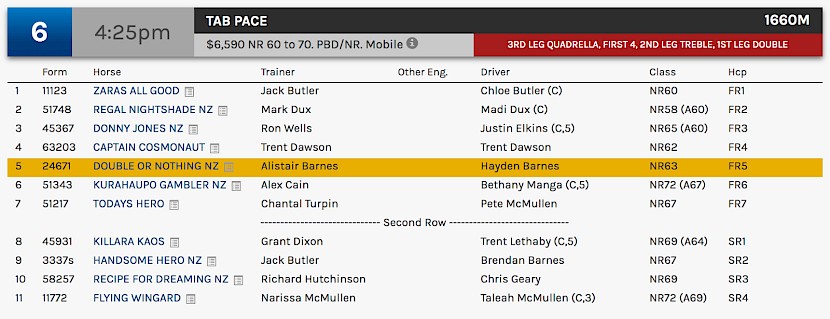 Double Or Nothing races at 7.25pm NZ time at Albion Park on Friday night.