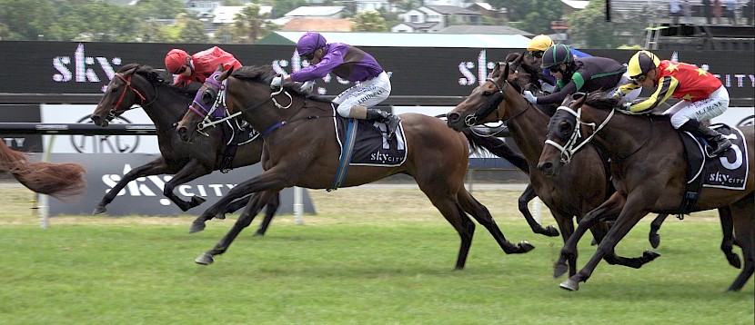 Platinum Road, in the purple colours, hits the line hard for third at Ellerslie last start.