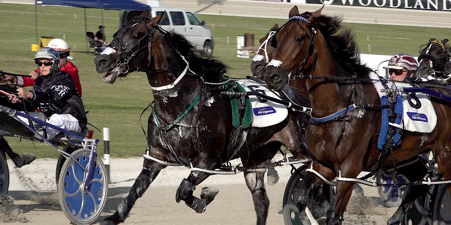 Line Up, centre, charges out of the gate at Auckland in the Sales Series Final at Auckland.
