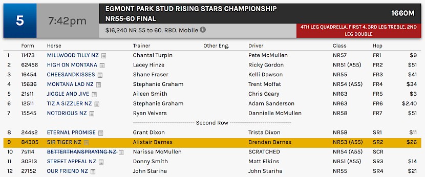 Sir Tiger races at 10.42pm NZ time at Albion Park on Saturday night.