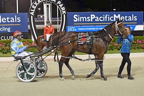 Zachary Butcher brings Platinum Stride back to scale. PHOTO: Peter Rubery.
