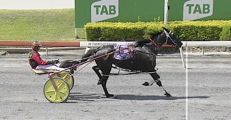Northview Hustler wins his trial 10 days ago by 40 metres in 1:52.4.