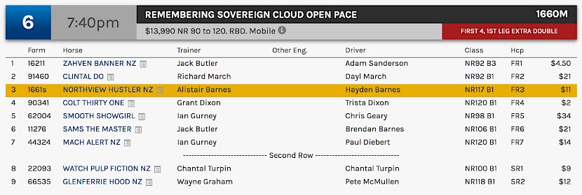 Northview Hustler races at 10.40pm NZ time at Albion Park on Saturday night.