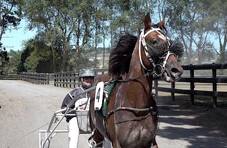 Jeff Beck (Andre Poutama) broke approaching the home turn.