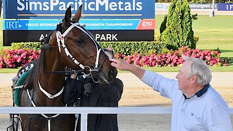 Lincoln Farms’ John Street greets Hampton Banner after his win at Auckland in November. PHOTO: Peter Rubery/Race Images.