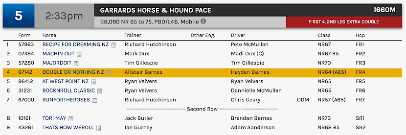 Double Or Nothing races at 5.33pm NZ time at Albion Park on Tuesday.