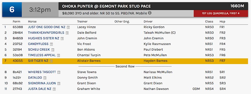 Sir Tiger races at 6.12pm NZ time at Albion Park on Tuesday.