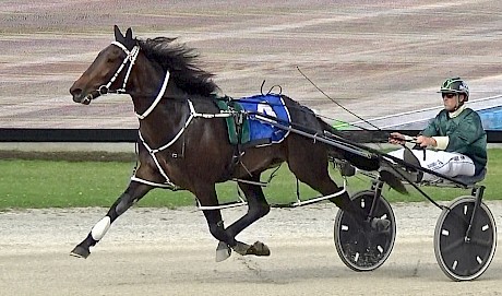 Bondi Shake (Andre Poutama) is badly placed on the outside of the gate for his debut.