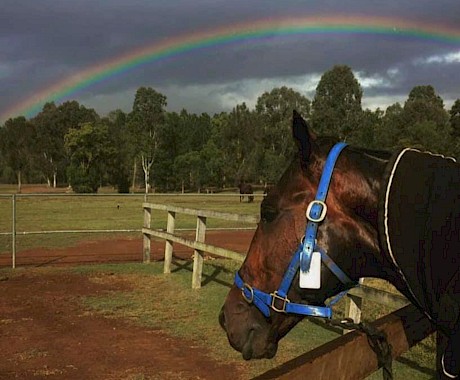 Is there a pot of gold at the end of the rainbow for Make Way in the Chariots Of Fire?