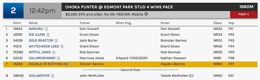 Double Or Nothing races at 3.42pm NZ time at Albion Park on Friday.