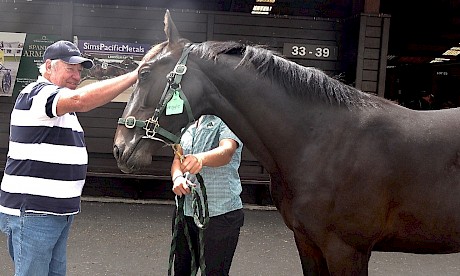 John Street makes friends with his $210,000 buy Argyle at Karaka today.