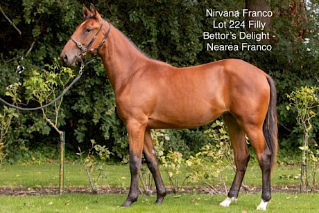 Green couldn’t fault this Bettor’s Delight filly out of Nearea Franco.