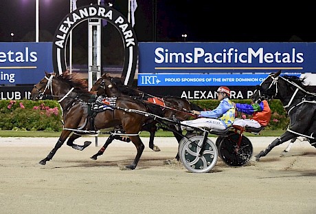 Platinum Stride beats Challenger in his last start at Auckand last month. PHOTO: Peter Rubery/Race Images.