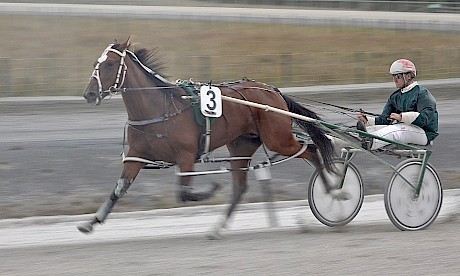 Prestige Stride hitting out well for Zachary Butcher in a recent workout at Pukekohe.