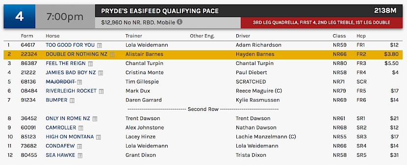 Double Or Nothing races at 10pm NZ time at Albion Park on Saturday night.