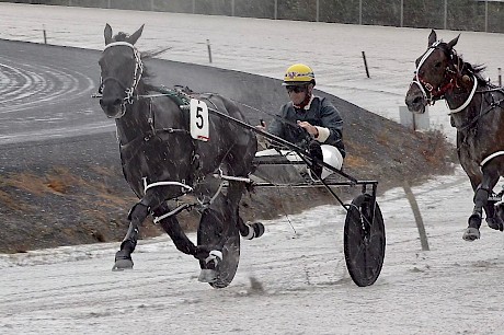 Zealand Star has been trialling strongly at Pukekohe.