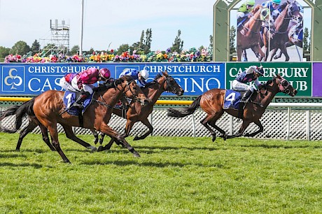 Dee And Gee scores in last November’s New Zealand Cup.