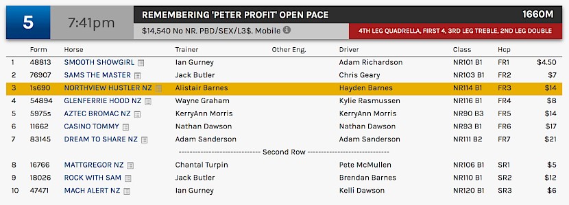 Northview Hustler races at 10.41pm NZ time at Albion Park on Saturday night.