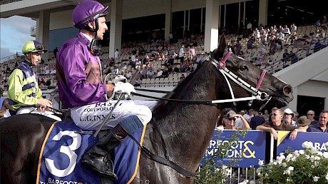 Platinum Invador returns to scale after his brave placing.