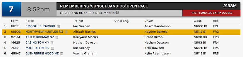 Northview Hustler races at 11.52pm NZ time at Albion Park on Saturday night.