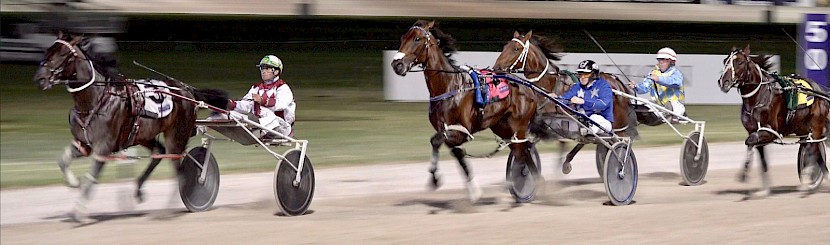 Platinum Stride (Maurice McKendry) roars home late for third in the Young Guns Final after being trapped on the markers.