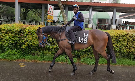 The closing of the borders has given Miracle Time a bonus run in Singapore.