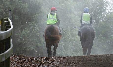 Horses can be ridden at a trot, canter or up to half-pace on private properties. PHOTO: Trish Dunell.