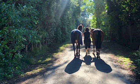 It will be at least a month before Kirsty Lawrence, seen here leading two horses away, can train them on a public course again. PHOTO: Steve Lawrence/Facebook.