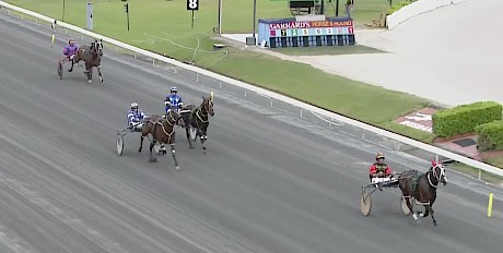 Joey Lincoln is well clear and travelling easily in his latest educational trial at Albion Park.