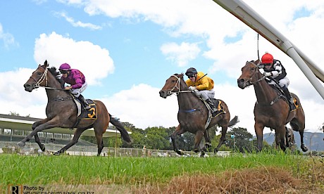Gallops chiefs are planning to hold one meeting in each region per week. PHOTO: Race Images.