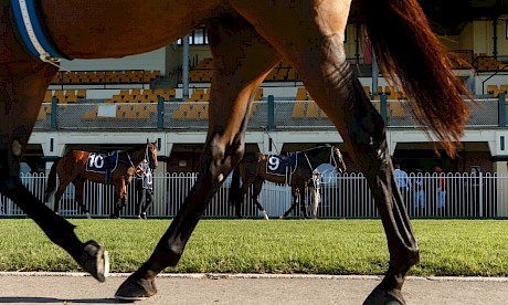 Racing continues in Australia, albeit with no public allowed on course.