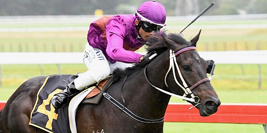 Lincoln Sky (Madan Singh) looked headed for better things when winning at just his third start at Otaki. PHOTO: Race Images.