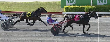 Hectorjayjay strolls past Governor Jujon in a fast trial at Albion Park on Tuesday.
