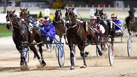 Roberts’ proudest moment as an owner as his two great pacers Christen Me, right, and Adore Me fight out the 2015 Auckand Cup.